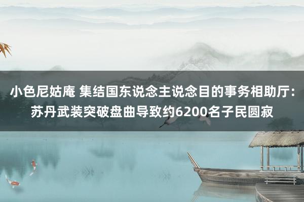小色尼姑庵 集结国东说念主说念目的事务相助厅:苏丹武装突破盘曲导致约6200名子民圆寂