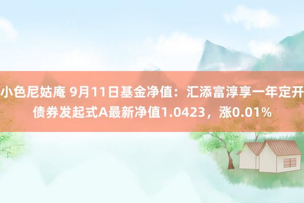 小色尼姑庵 9月11日基金净值:汇添富淳享一年定开债券发起式A最新净值1.0423,涨0.01%