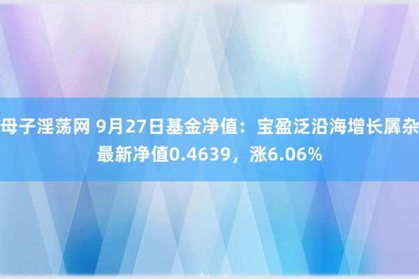 母子淫荡网 9月27日基金净值:宝盈泛沿海增长羼杂最新净值0.4639,涨6.06%