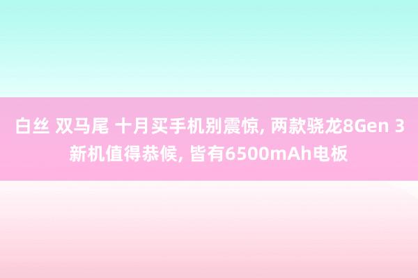 白丝 双马尾 十月买手机别震惊， 两款骁龙8Gen 3新机值得恭候， 皆有6500mAh电板