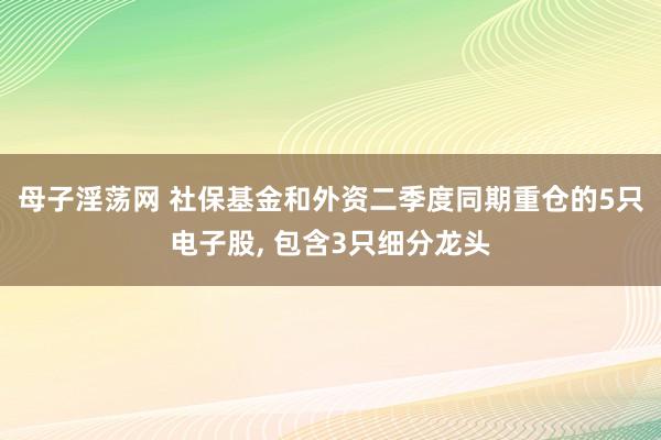 母子淫荡网 社保基金和外资二季度同期重仓的5只电子股， 包含3只细分龙头