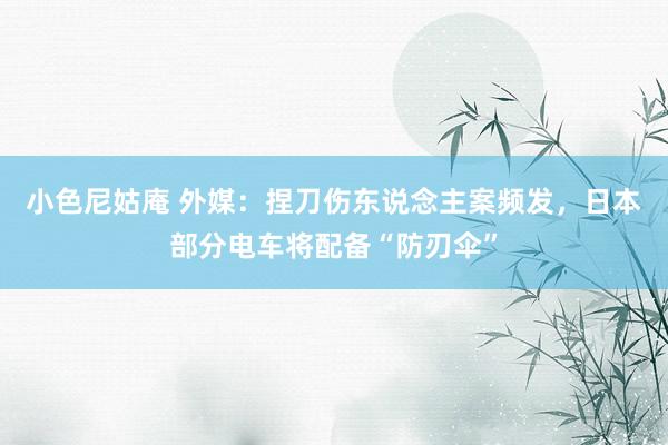 小色尼姑庵 外媒:捏刀伤东说念主案频发,日本部分电车将配备“防刃伞”