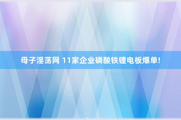 母子淫荡网 11家企业磷酸铁锂电板爆单!