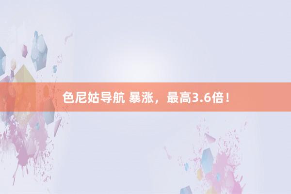 色尼姑导航 暴涨,最高3.6倍!