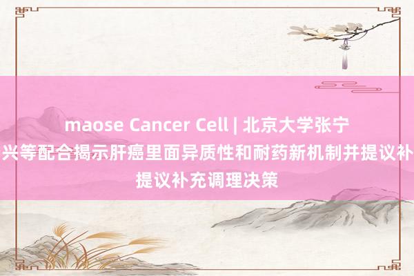 maose Cancer Cell | 北京大学张宁/吴健民/杨兴等配合揭示肝癌里面异质性和耐药新机制并提议补充调理决策