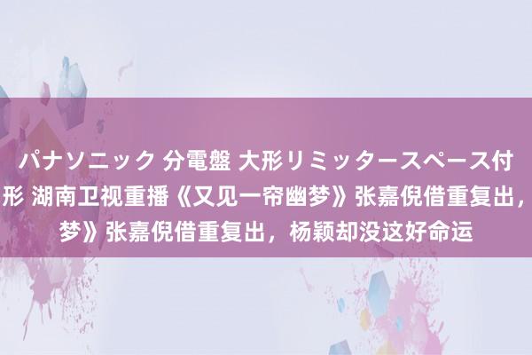 パナソニック 分電盤 大形リミッタースペース付 露出・半埋込両用形 湖南卫视重播《又见一帘幽梦》张嘉倪借重复出,杨颖却没这好命运