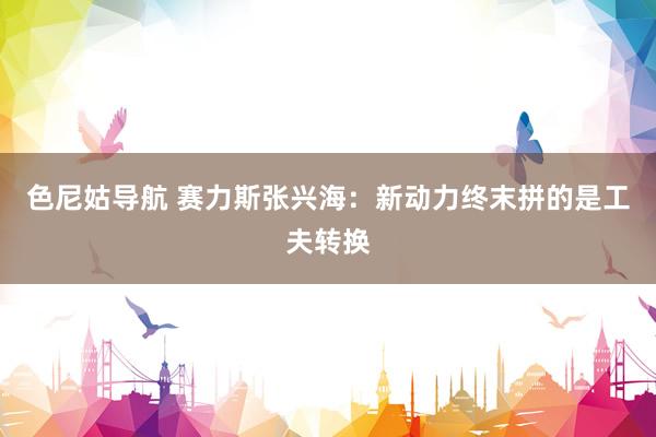 色尼姑导航 赛力斯张兴海:新动力终末拼的是工夫转换
