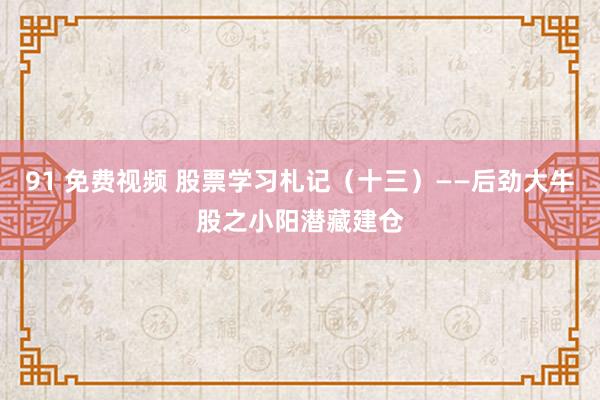91 免费视频 股票学习札记(十三)——后劲大牛股之小阳潜藏建仓