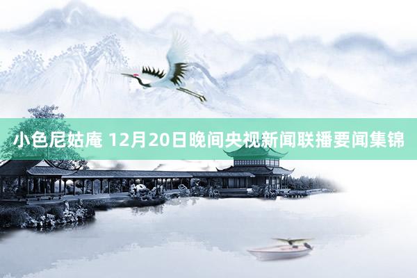 小色尼姑庵 12月20日晚间央视新闻联播要闻集锦