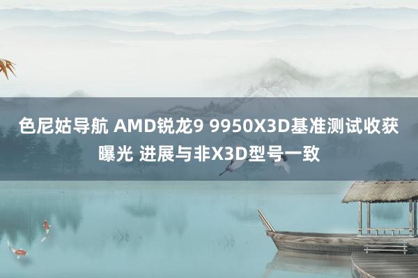 色尼姑导航 AMD锐龙9 9950X3D基准测试收获曝光 进展与非X3D型号一致