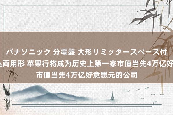 パナソニック 分電盤 大形リミッタースペース付 露出・半埋込両用形 苹果行将成为历史上第一家市值当先