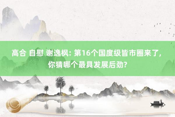 高合 自慰 谢逸枫: 第16个国度级皆市圈来了, 你猜哪个最具发展后劲?
