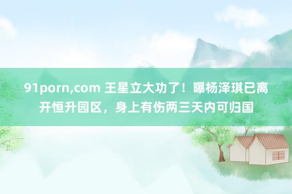 91porn,com 王星立大功了！曝杨泽琪已离开恒升园区，身上有伤两三天内可归国