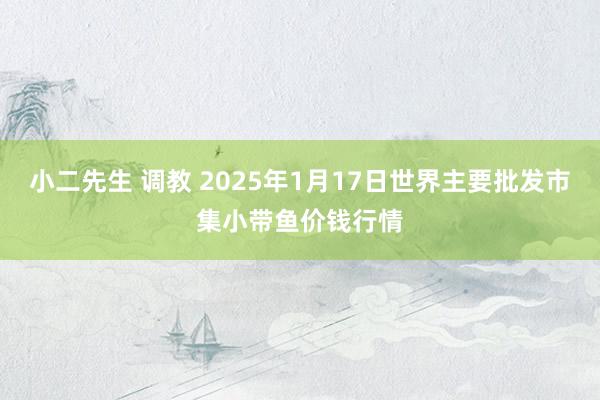 小二先生 调教 2025年1月17日世界主要批发市集小带鱼价钱行情