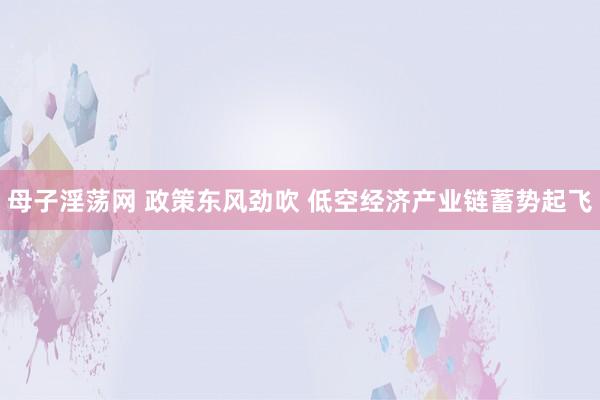 母子淫荡网 政策东风劲吹 低空经济产业链蓄势起飞