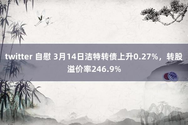 twitter 自慰 3月14日洁特转债上升0.27%，转股溢价率246.9%