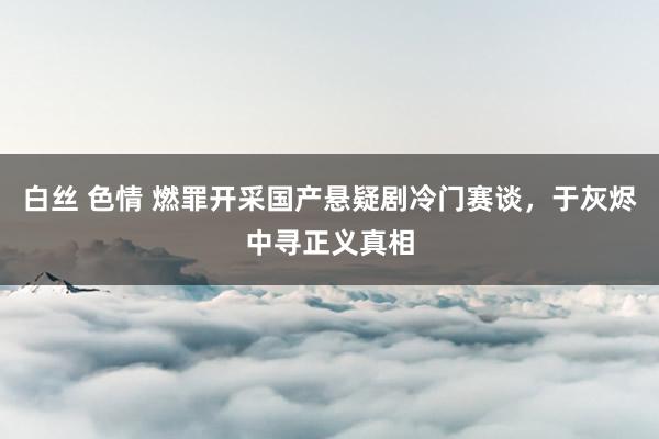 白丝 色情 燃罪开采国产悬疑剧冷门赛谈，于灰烬中寻正义真相