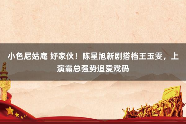 小色尼姑庵 好家伙！陈星旭新剧搭档王玉雯，上演霸总强势追爱戏码