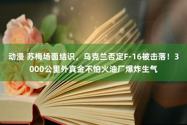 动漫 苏梅场面结识，乌克兰否定F-16被击落！3000公里外真金不怕火油厂爆炸生气