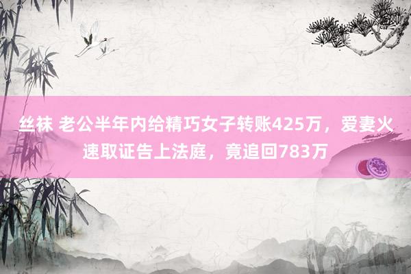 丝袜 老公半年内给精巧女子转账425万，爱妻火速取证告上法庭，竟追回783万