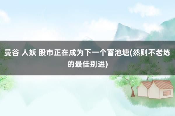 曼谷 人妖 股市正在成为下一个蓄池塘(然则不老练的最佳别进)