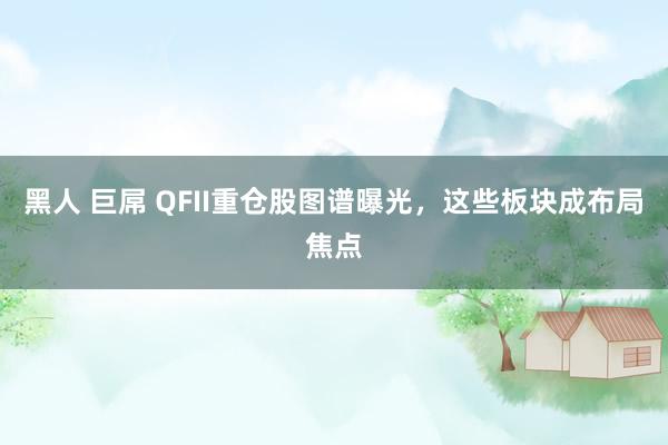 黑人 巨屌 QFII重仓股图谱曝光，这些板块成布局焦点