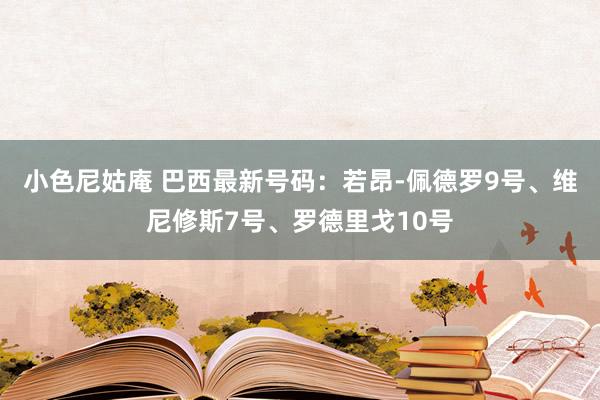 小色尼姑庵 巴西最新号码：若昂-佩德罗9号、维尼修斯7号、罗德里戈10号