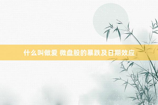 什么叫做爱 微盘股的暴跌及日期效应