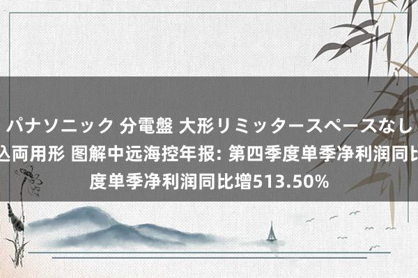 パナソニック 分電盤 大形リミッタースペースなし 露出・半埋込両用形 图解中远海控年报: 第四季度单