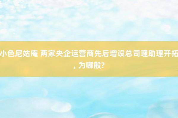 小色尼姑庵 两家央企运营商先后增设总司理助理开拓, 为哪般?