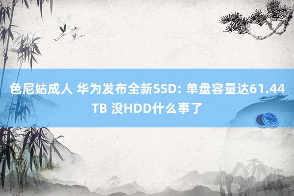 色尼姑成人 华为发布全新SSD: 单盘容量达61.44TB 没HDD什么事了