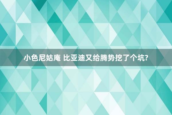 小色尼姑庵 比亚迪又给腾势挖了个坑?