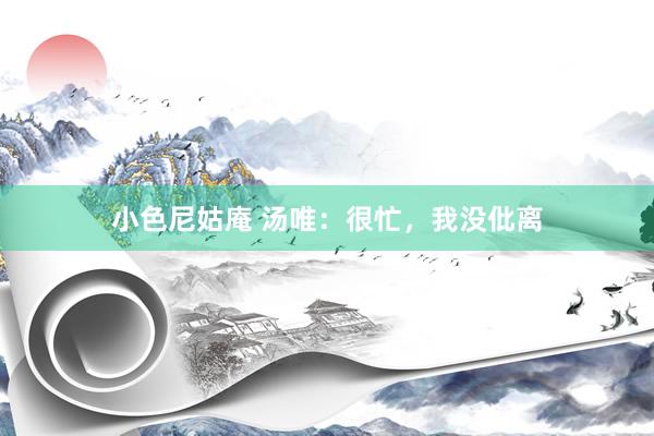 小色尼姑庵 汤唯：很忙，我没仳离
