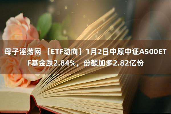 母子淫荡网 【ETF动向】1月2日中原中证A500ETF基金跌2.84%，份额加多2.82亿份