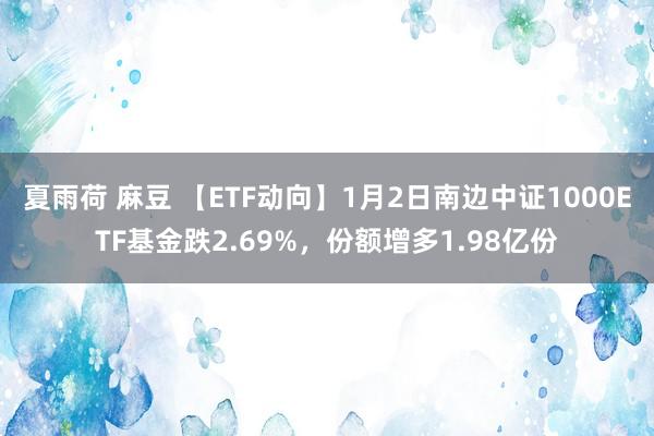 夏雨荷 麻豆 【ETF动向】1月2日南边中证1000ETF基金跌2.69%，份额增多1.98亿份