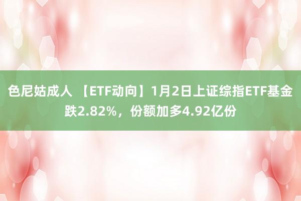 色尼姑成人 【ETF动向】1月2日上证综指ETF基金跌2.82%，份额加多4.92亿份