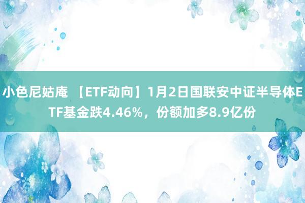 小色尼姑庵 【ETF动向】1月2日国联安中证半导体ETF基金跌4.46%，份额加多8.9亿份