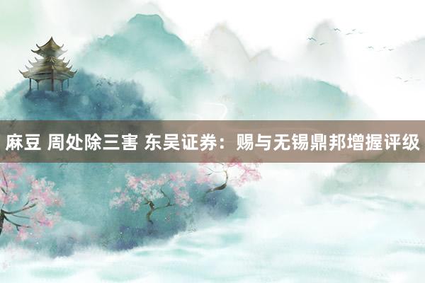 麻豆 周处除三害 东吴证券：赐与无锡鼎邦增握评级