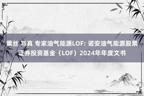 黑丝 写真 专家油气能源LOF: 诺安油气能源股票证券投资基金（LOF）2024年年度文书