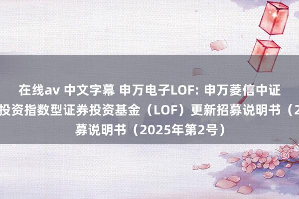 在线av 中文字幕 申万电子LOF: 申万菱信中证申万电子行业投资指数型证券投资基金（LOF）更新招