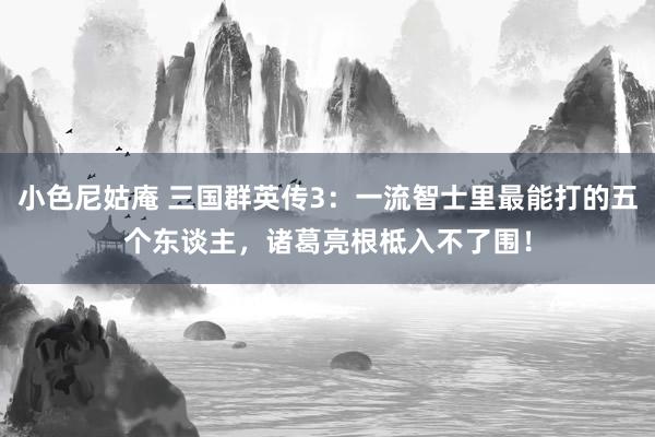 小色尼姑庵 三国群英传3：一流智士里最能打的五个东谈主，诸葛亮根柢入不了围！