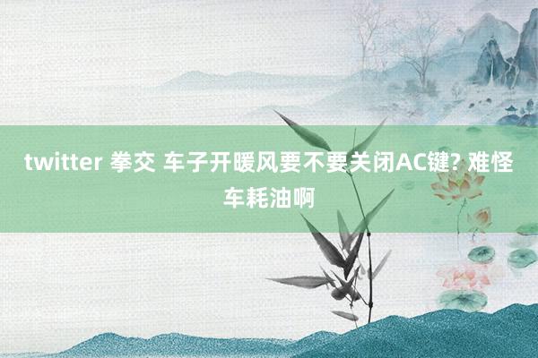 twitter 拳交 车子开暖风要不要关闭AC键? 难怪车耗油啊