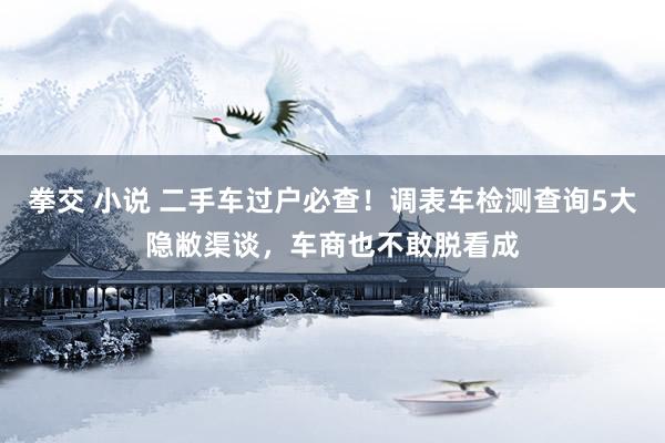 拳交 小说 二手车过户必查！调表车检测查询5大隐敝渠谈，车商也不敢脱看成