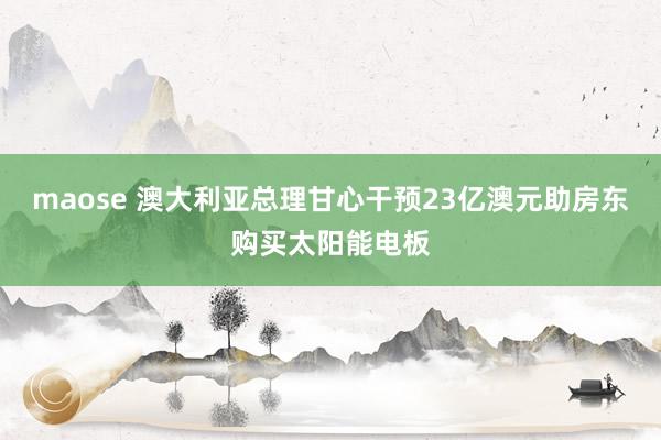maose 澳大利亚总理甘心干预23亿澳元助房东购买太阳能电板