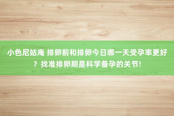 小色尼姑庵 排卵前和排卵今日哪一天受孕率更好？找准排卵期是科学备孕的关节!