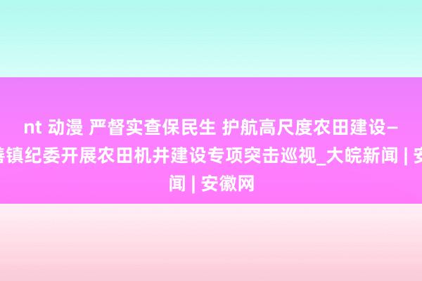 nt 动漫 严督实查保民生 护航高尺度农田建设——百善镇纪委开展农田机井建设专项突击巡视_大皖新闻 