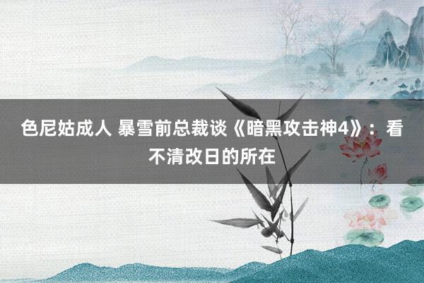 色尼姑成人 暴雪前总裁谈《暗黑攻击神4》：看不清改日的所在