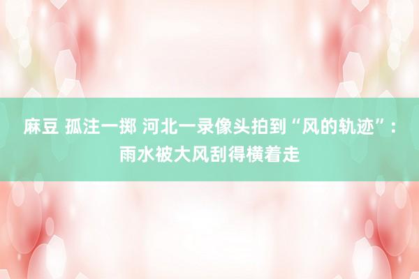 麻豆 孤注一掷 河北一录像头拍到“风的轨迹”：雨水被大风刮得横着走