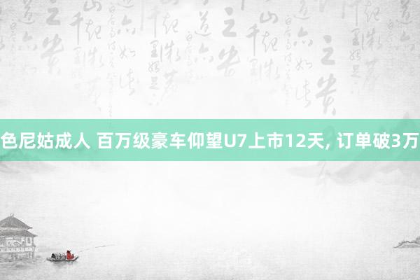 色尼姑成人 百万级豪车仰望U7上市12天, 订单破3万