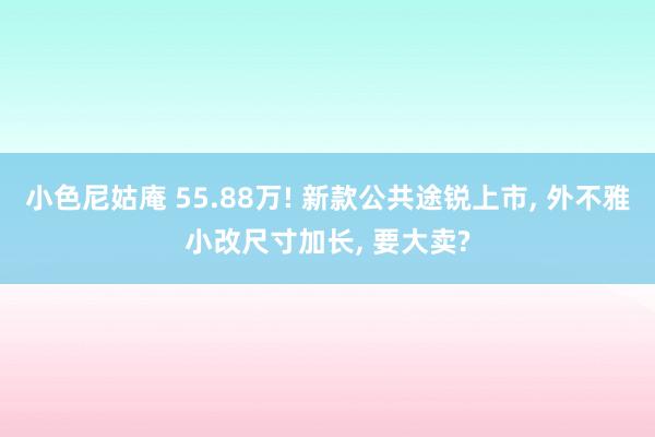 小色尼姑庵 55.88万! 新款公共途锐上市, 外不雅小改尺寸加长, 要大卖?